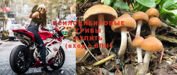 молекула духа Алзамай
