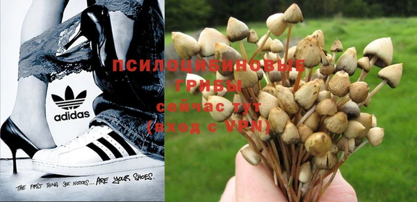 молекула духа Алзамай